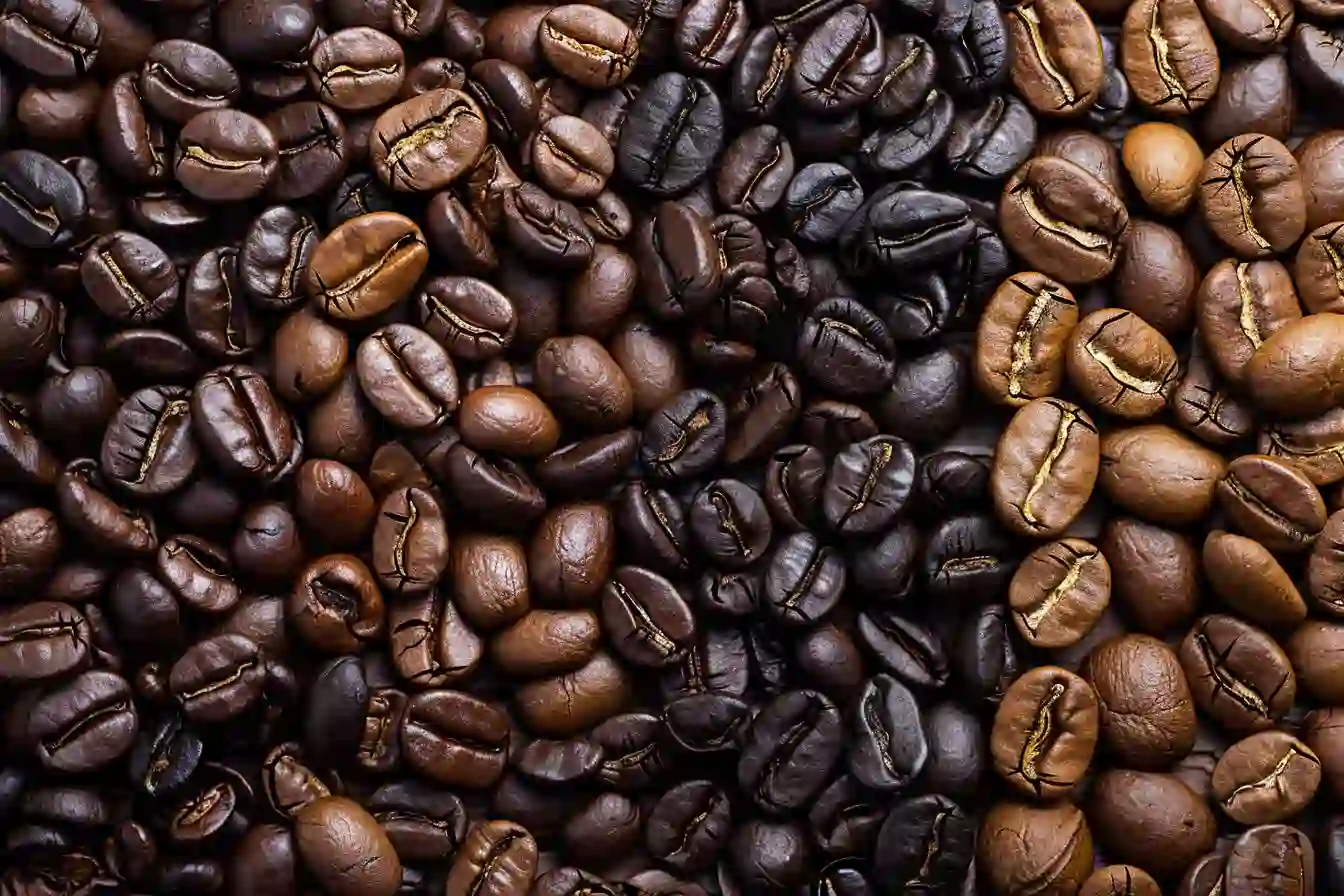 ight, medium, and dark roasted coffee beans.