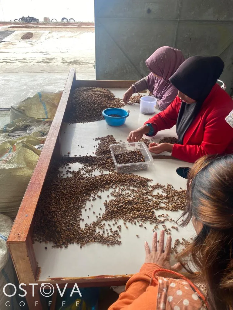 wine coffeee process